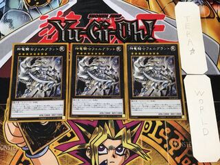 Divine Dragon Knight Felgrand 3 Gold Set of 3 Tera