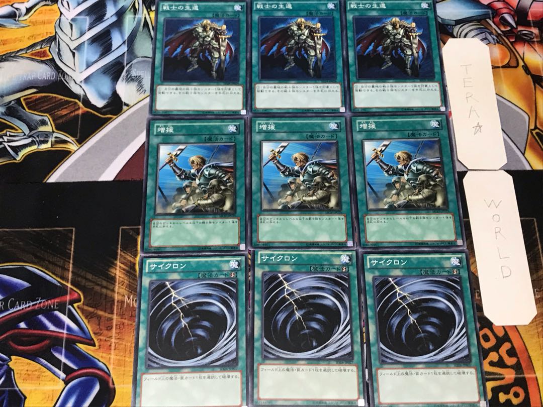 Cyclone Reinforcements The Warrior Returning Alive 3 Normal Set of 3 each Summary