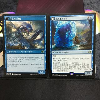 氷の中の存在・目覚めた恐怖　2枚セット