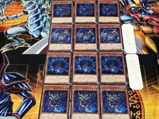 Shaddoll Squamata Hedge Beast Dragon 4 Normal Set of 3 each Summary