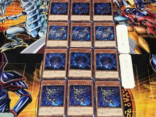 Shaddoll Squamata Hedge Beast Dragon 6 Normal Set of 3 each Conclusion