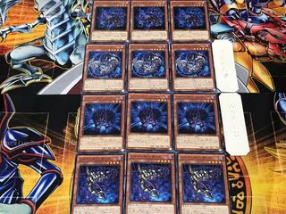 Shaddoll Squamata Hedge Beast Dragon 8 Normal Set of 3 each Summary