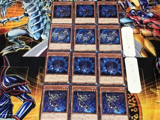 Shaddoll Squamata Hedge Beast Dragon 9 Normal Set of 3 each Summary