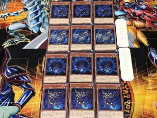 Shaddoll Squamata Hedge Beast Dragon 11 Normal Set of 3 each Conclusion