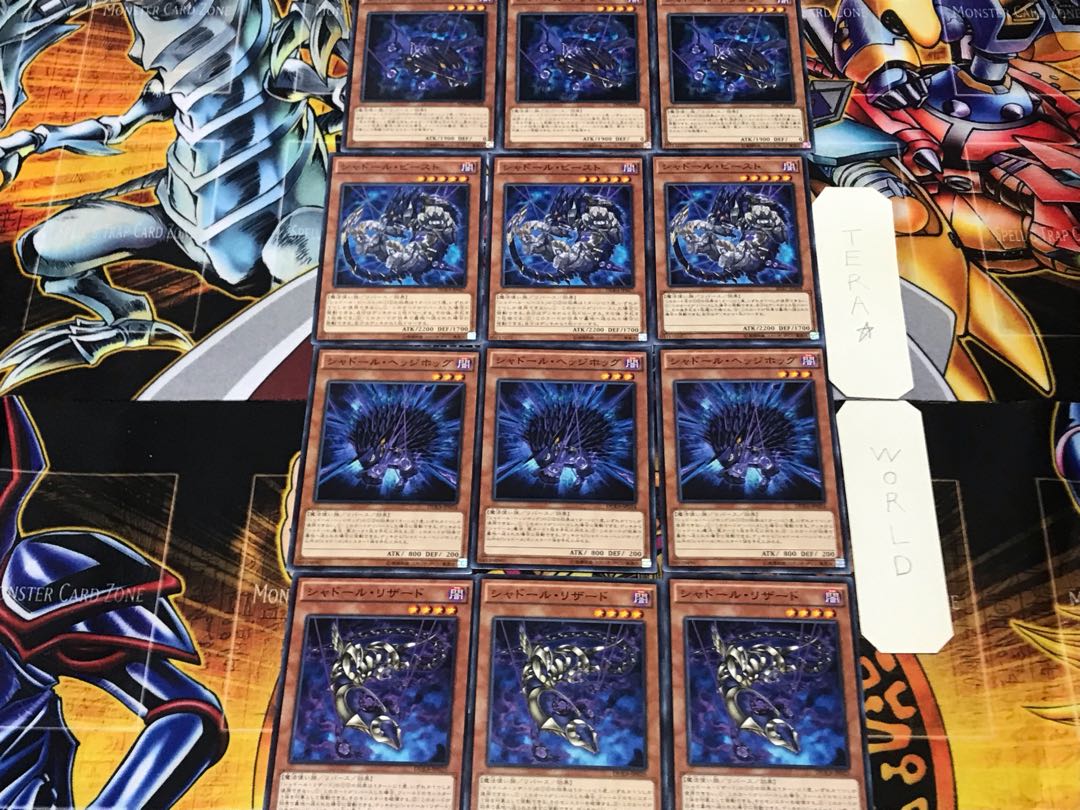 Shaddoll Squamata Hedge Beast Dragon 13 Normal Set of 3 each Conclusion