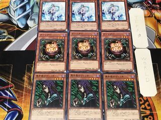 Witch of the Black Forest Sangan Effect Veiler 1 Normal Set of 3 each Summary