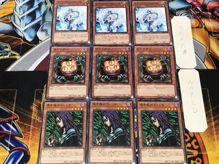 Witch of the Black Forest Sangan Effect Veiler 2 Normal Set of 3 each Summary