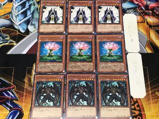 ディアボリックガイ ロータス サモンプリースト 1 ノーマル 各3枚セット まとめ 3枚