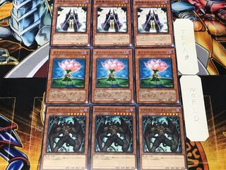 ディアボリックガイ ロータス サモンプリースト 2 ノーマル 各3枚セット まとめ 3枚