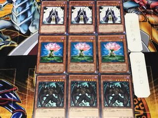 ディアボリックガイ ロータス サモンプリースト 3 ノーマル 各3枚セット まとめ 3枚