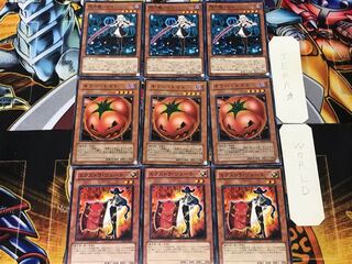 Extra Veiler Mystic Tomato Senkohime-Rei 3 Normal Set of 3 each Conclusion