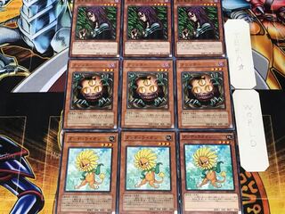 Dandy Sangan Witch of the Black Forest 1 Normal Set of 3 each Summary