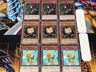 Dandy Sangan Witch of the Black Forest 3 Normal each Set of 3 Summary