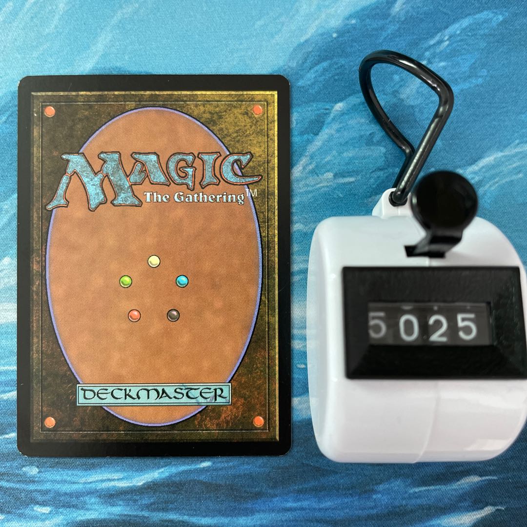 MTG 2 Snow-Covered Forest