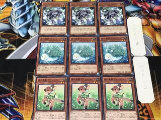 Valerifawn, Mystical Beast of the Forest Calantosa Peropero Cerperus 2 Normal Set of 3 each Summary