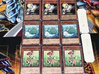 森の聖獣 ヴァレリフォーン カラントーサ 素早いムササビ 1 ノーマル 各3枚セット まとめ