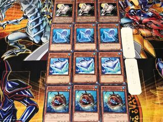 Nimble Angler manta ray, sunfish, and flying squirrel 1 normal, set of 3 each, summary