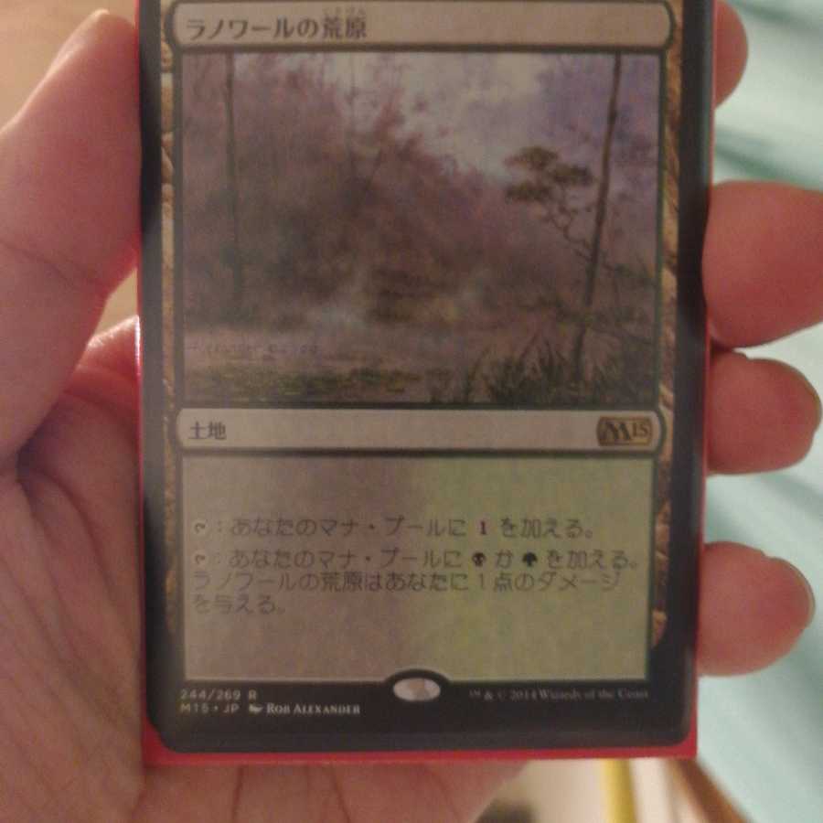 ラノワールの荒原　専用