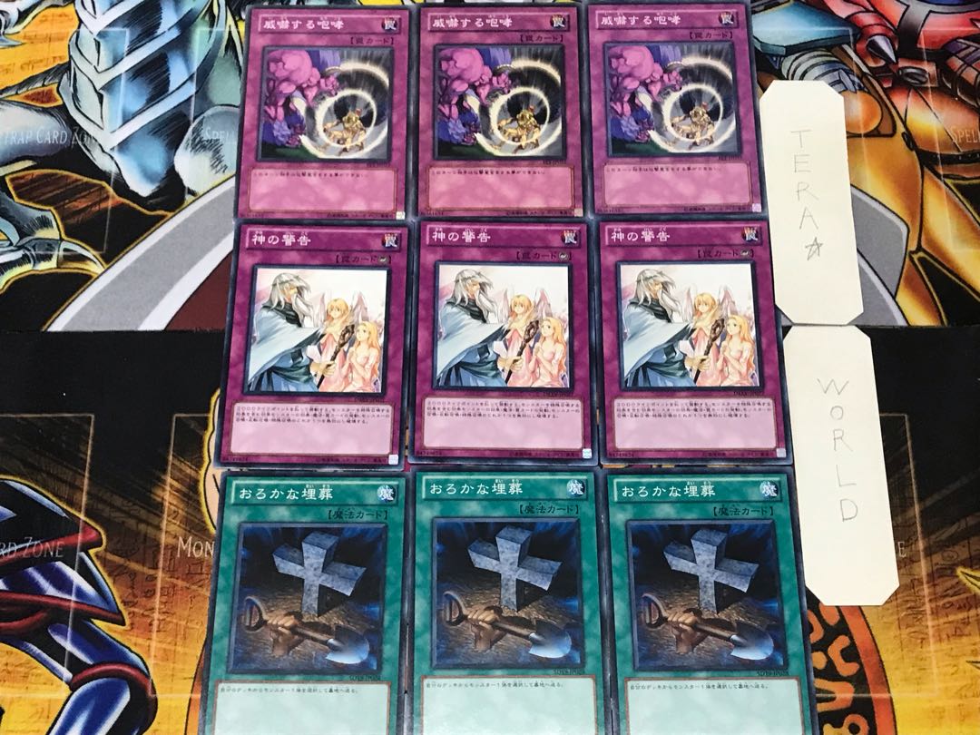 Foolish Burial Solemn Warning Threatening Roar 3 Normal Set of 3 each Summary