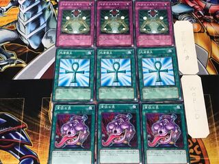 貪欲な壺 死者蘇生 マクロコスモス 2 ノーマル 各3枚セット まとめ