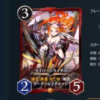 かぜ様専用 ワイバーンライダー