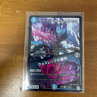 Cyber K. Wozrek｜The Wozrek Inquiry