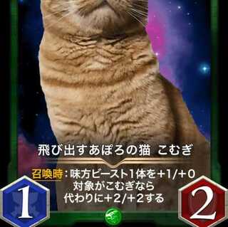 【GOLD】飛び出すあぽろの猫　こむぎ 入手困難品