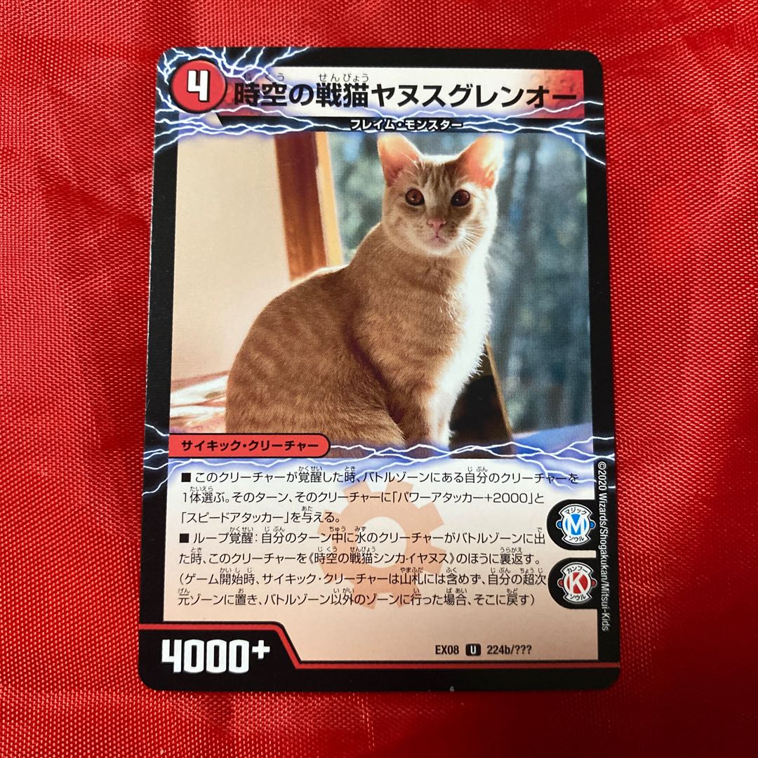 Space-time War Cat Shinkayanus|Space-time War Cat Janus Glen-O