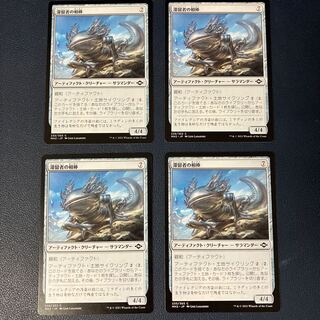 Sojourner's Companion