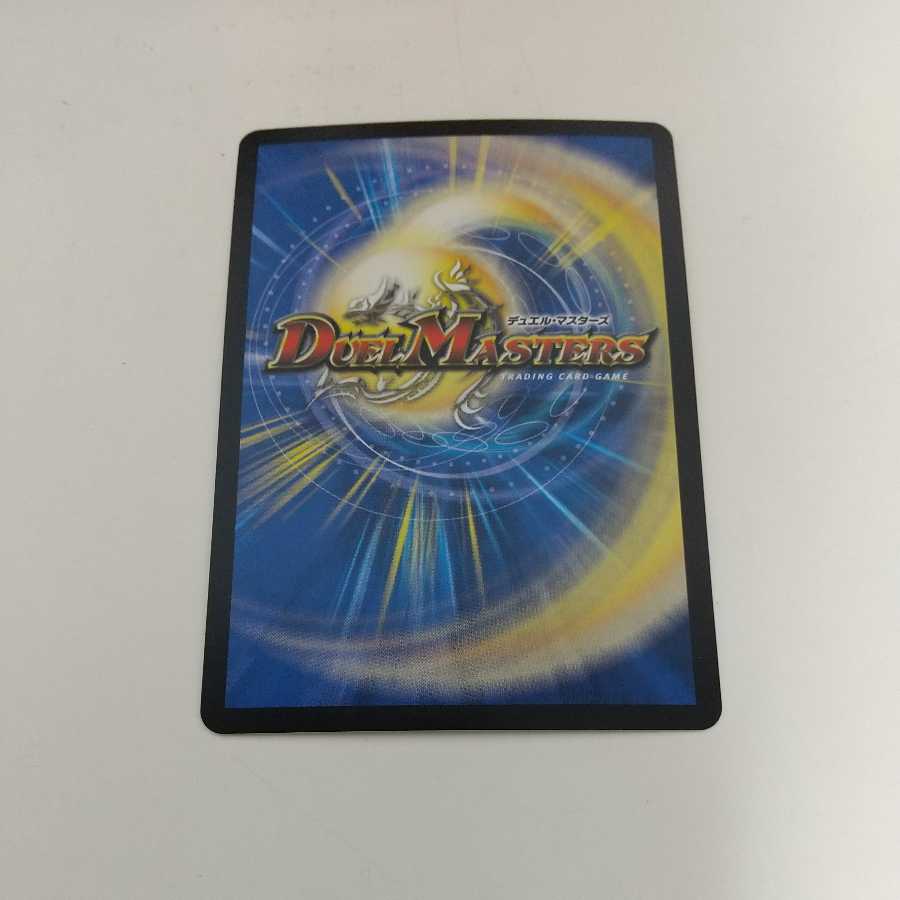 Knight of the Shield of the Absolute."