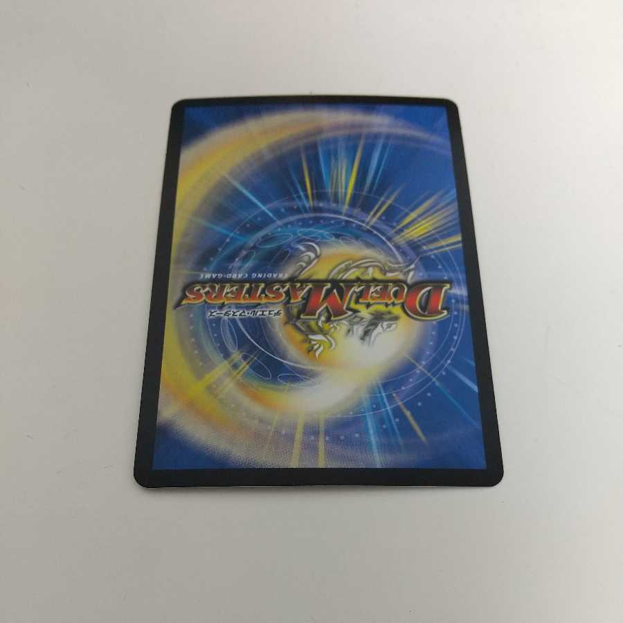 Knight of the Shield of the Absolute."