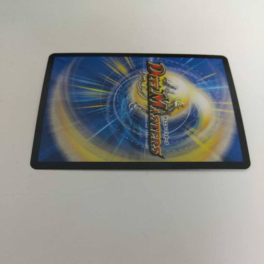 Knight of the Shield of the Absolute."