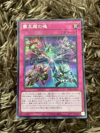 Soul of the Supreme Dragon Secret Rare