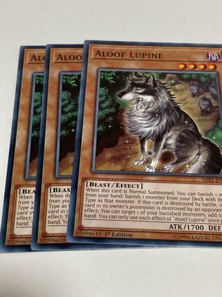 孤高除獣　英語版　EU版　3枚