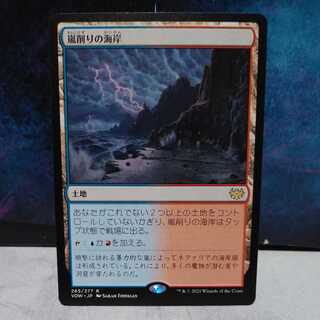 MTG　嵐削りの海岸　銀幕FOIL　DBL　3枚セット MTG 嵐削りの海岸 銀幕FOIL DBL 3枚セット