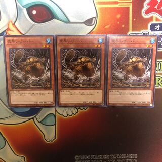 Nimble Beaver Normal 3pcs 22TP