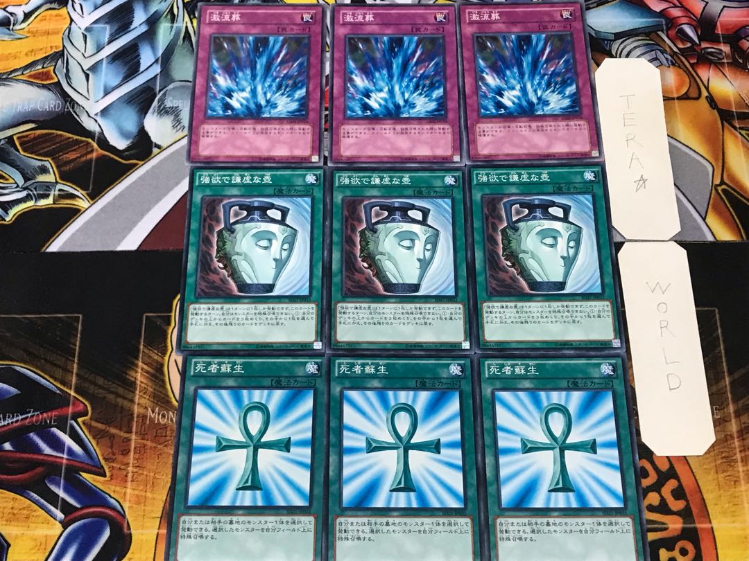 Dedicated to Mr. snsd 1枚