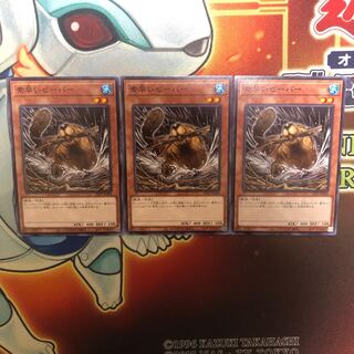 Nimble Beaver Normal 22TP