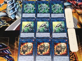 Hidarmar Gravity Secure Gardna 3 Rare, Set of 3 each, Collective