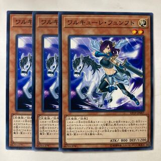 5583 ワルキューレ・フュンフト ノーマル JP007