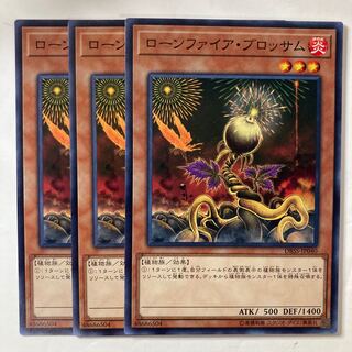 Lonefire Blossom ☆7489