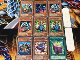 Toon Set Summary 2nd period ver 4 Normal Summary Tera 1枚