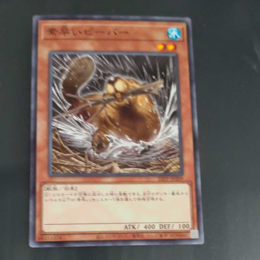 Nimble Beaver [Korindo