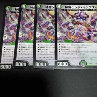 Shinra Kenji Kingdom