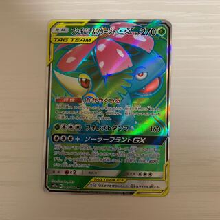 フシギバナ&ツタージャ SR