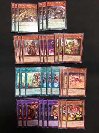 Yu-Gi-Oh! Amazoness Deck Parts Full Combo Set