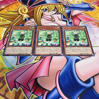 アロマージ-ローリエ