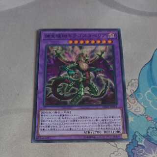 Predaplant Dragostapelia