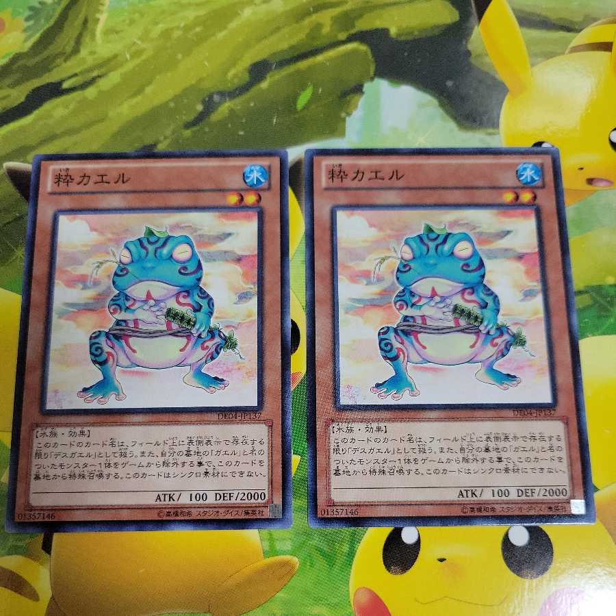 Ronintoadin 2 piece set Normal