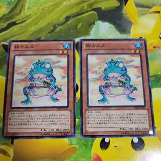 Ronintoadin 2 piece set Normal